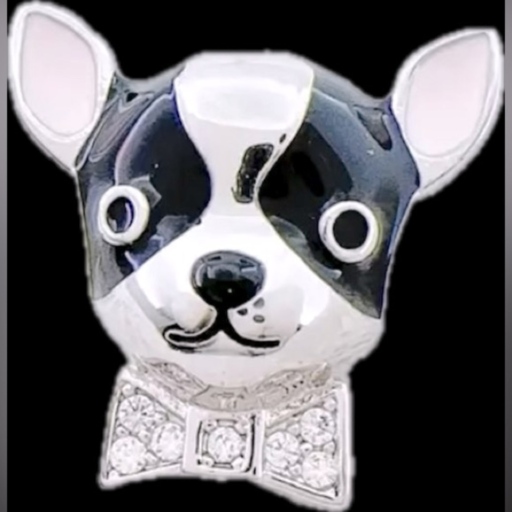 S925 SILVER CHARM COMPATIBLE WITH PANDORA MOMENTS BRACELETS & MORE!